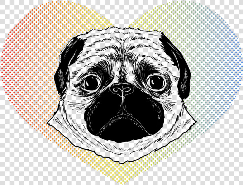 Patrycjaruman Pugface   Pug   Pug  HD Png DownloadTransparent PNG