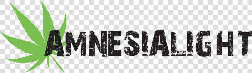 Amnesia Light   Graphic Design  HD Png DownloadTransparent PNG