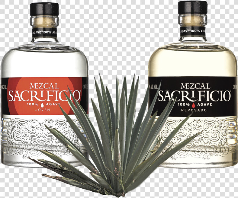 Botellas Mezcal Sacrificio   Mezcal Sacrificio  HD Png DownloadTransparent PNG