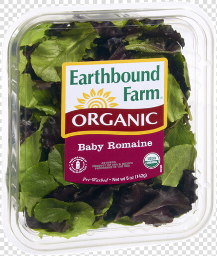 Earthbound Farm Organic Baby Spinach  HD Png DownloadTransparent PNG