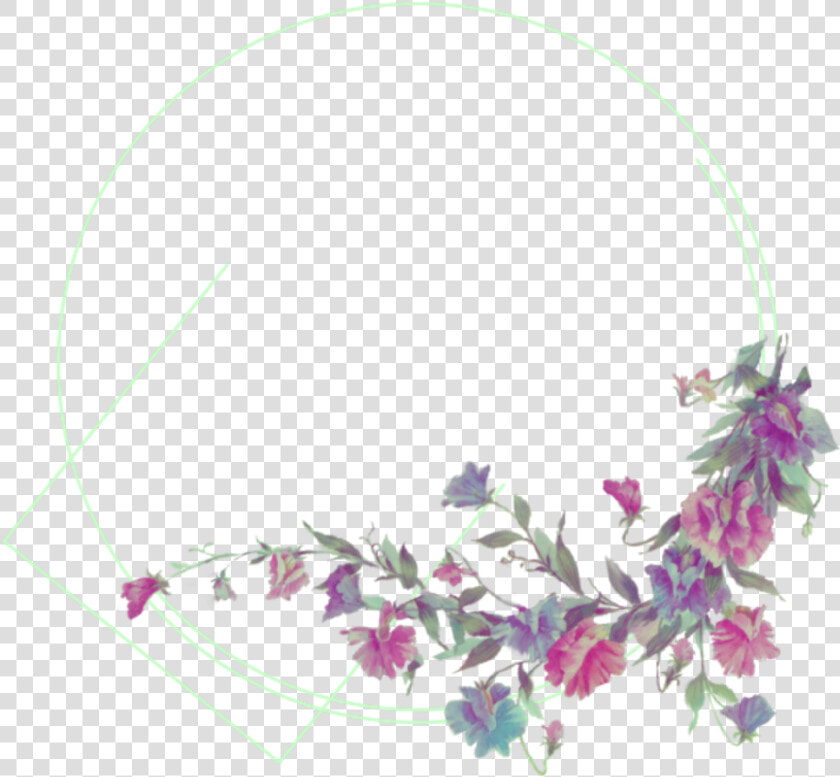  verde  flores  flowers  flor  green Circle  marco   Rose  HD Png DownloadTransparent PNG