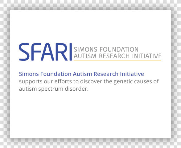 Simons Foundation Autism Research Initiative  HD Png DownloadTransparent PNG