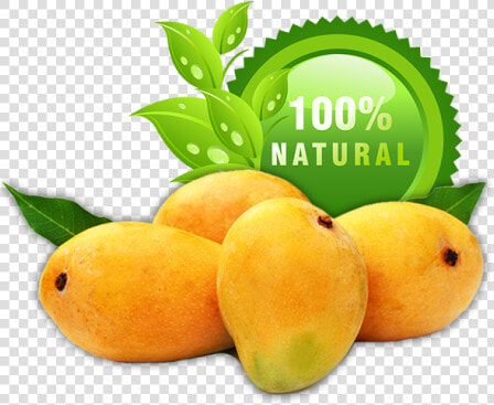 Mangoes   Png Alphonso Mango Transparent  Png DownloadTransparent PNG