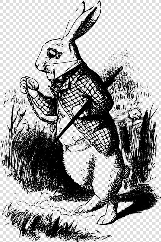 The White Rabbit   White Rabbit Alice In Wonderland Book  HD Png DownloadTransparent PNG