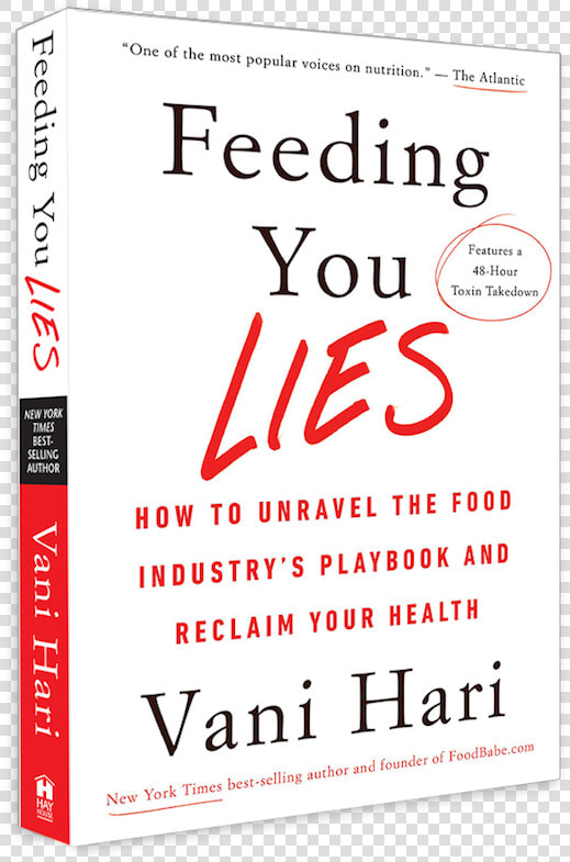 Feedingyoulies Paperback book   Choosing Civility  HD Png DownloadTransparent PNG