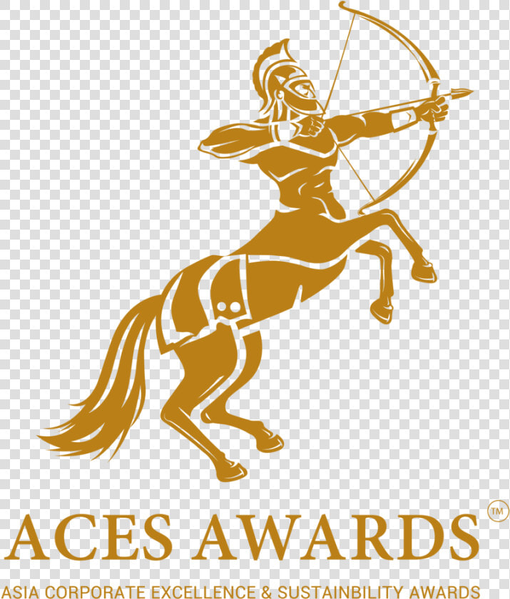 Aces Logo Official   Asia Corporate Excellence  amp  Sustainability Awards  HD Png DownloadTransparent PNG