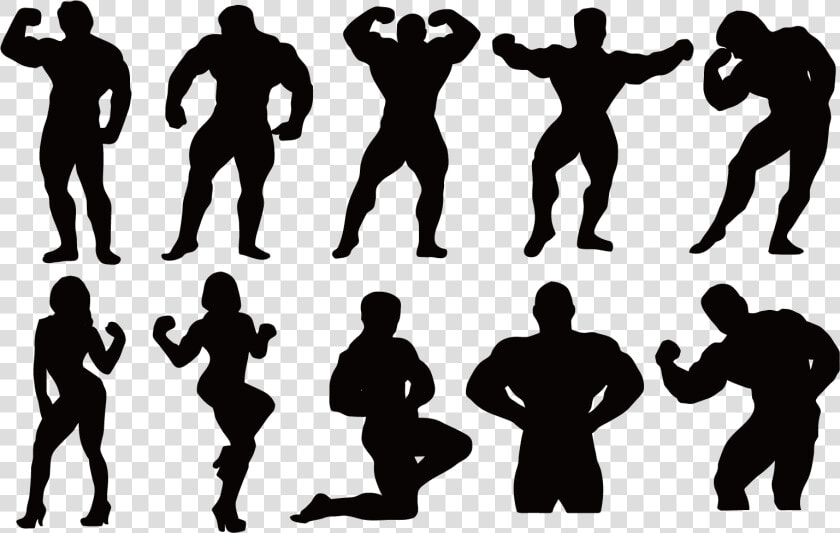 Bodybuilding Fitness Centre Silhouette Muscle   Body Building  HD Png DownloadTransparent PNG