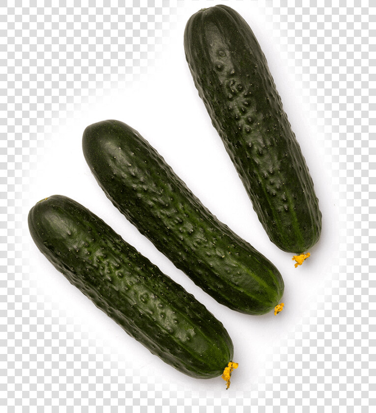 Summer squash   Zucchini  HD Png DownloadTransparent PNG