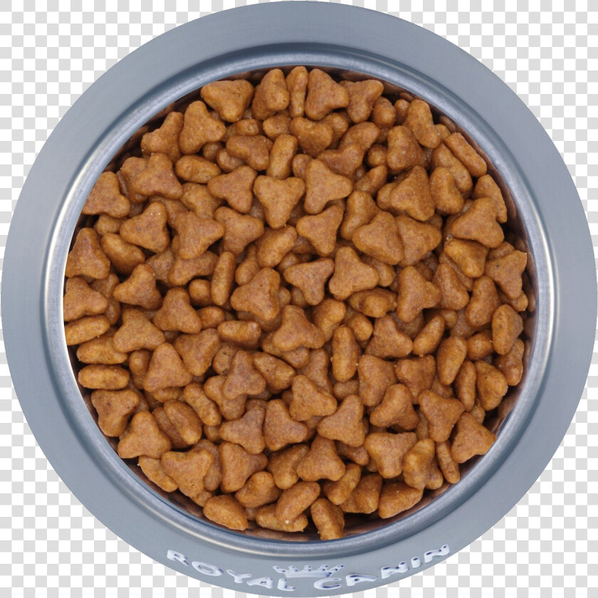 Dog Food Png   Breakfast Cereal  Transparent PngTransparent PNG