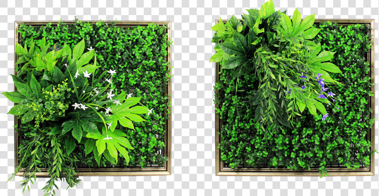 Vertical Garden Png   Vertical Garden Plants Png  Transparent PngTransparent PNG