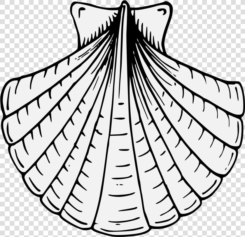 Shell Clipart Heraldic Scallop   Shell Heraldry  HD Png DownloadTransparent PNG