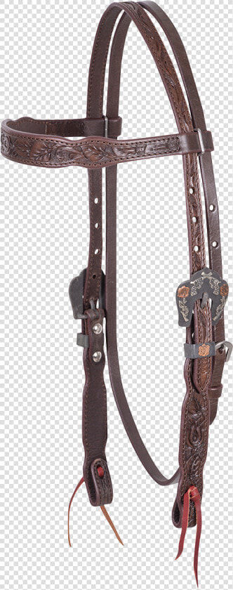 Id Mainimage   Bridle  HD Png DownloadTransparent PNG