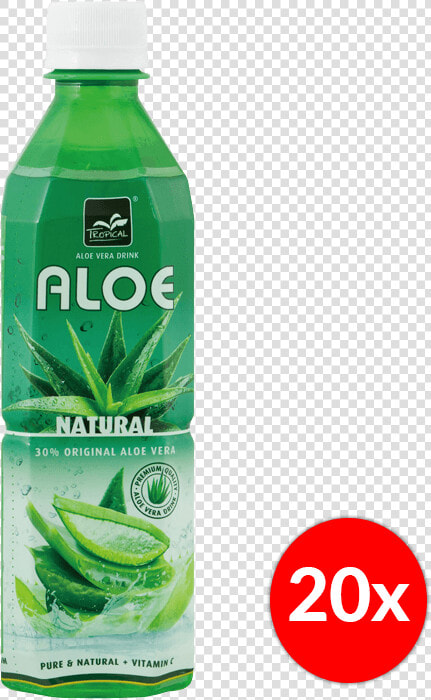 Aloe   Aloe Vera Tropical  HD Png DownloadTransparent PNG