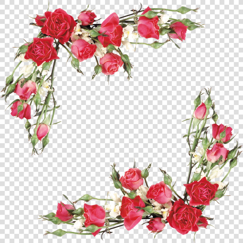 Branch Vector Rose   Flower Rose Border Design Png  Transparent PngTransparent PNG