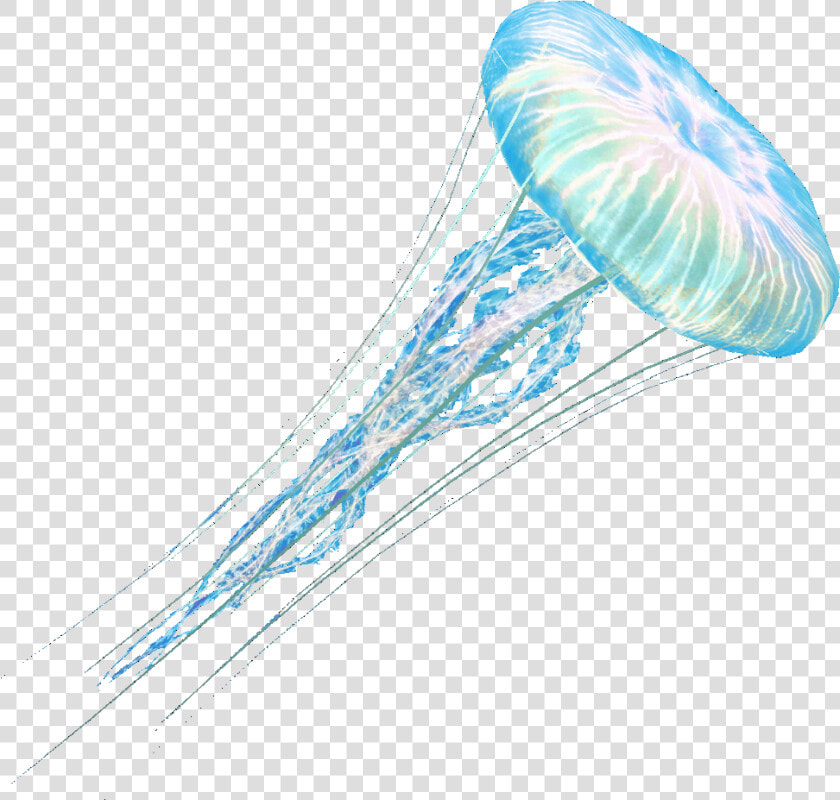 Jelly Fish Png   Jellyfish Transparent Background  Png DownloadTransparent PNG