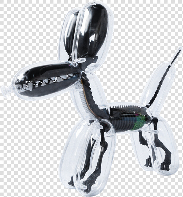 Image   Balloon Dog Anatomy By Jason Freeny  HD Png DownloadTransparent PNG