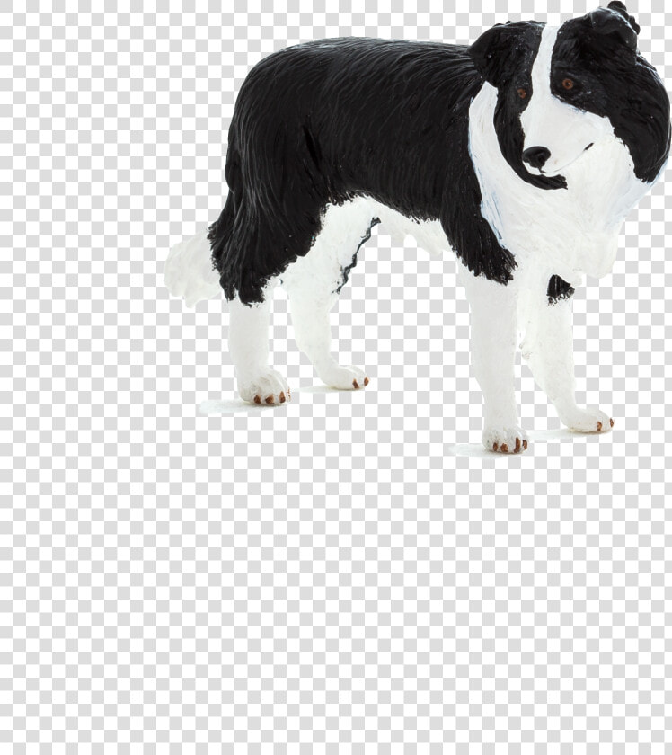 Chien Français Blanc Et Noir  HD Png DownloadTransparent PNG