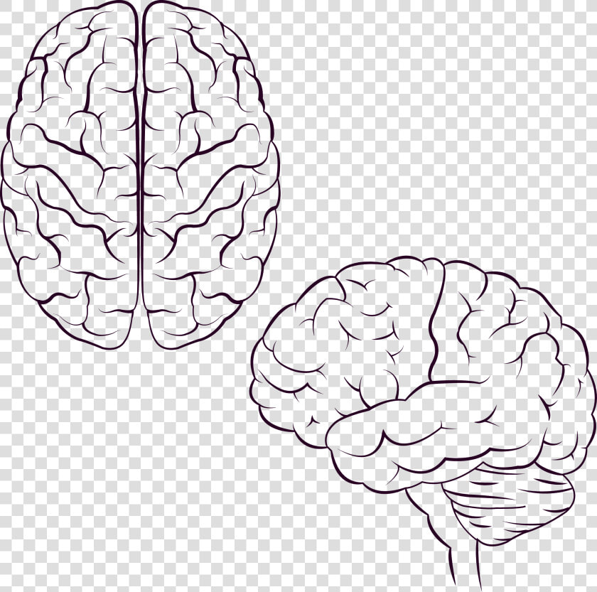 Brain Icon Design Icon   Painted Brain  HD Png DownloadTransparent PNG