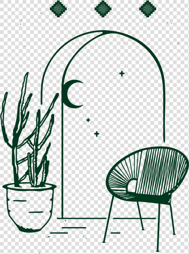 We Specialize In Exotic Cacti And Tropical Potted Plants  HD Png DownloadTransparent PNG