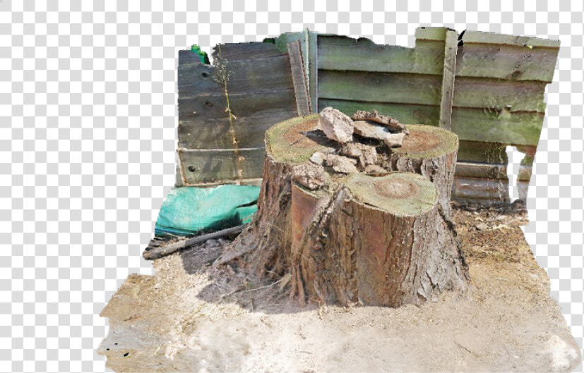 Tree Stump And Surrounding Area   Tree Stump  HD Png DownloadTransparent PNG