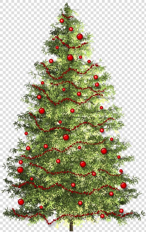 Christmas Christmas Tree Christmas Time Free Photo   Christmas Tree  HD Png DownloadTransparent PNG