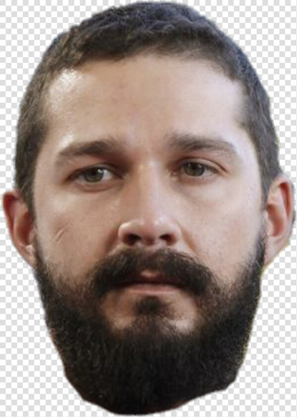  shialabeouf   Shia Labeouf  HD Png DownloadTransparent PNG