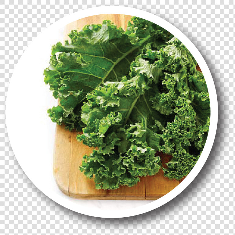 Health Benefits Of Kale   Png Download   Kale Diet  Transparent PngTransparent PNG