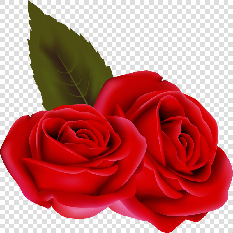 Bouqet De Roses Rosa Fleur Rouge Passion St Valentin   Rose Rouge Fond Transparent  HD Png DownloadTransparent PNG