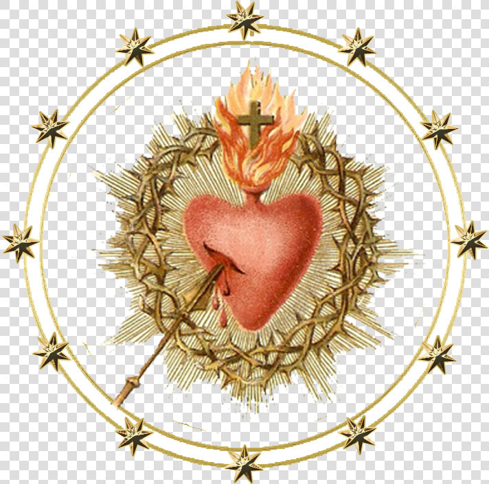 Most Sacred Heart Of Jesus Have Mercy  HD Png DownloadTransparent PNG