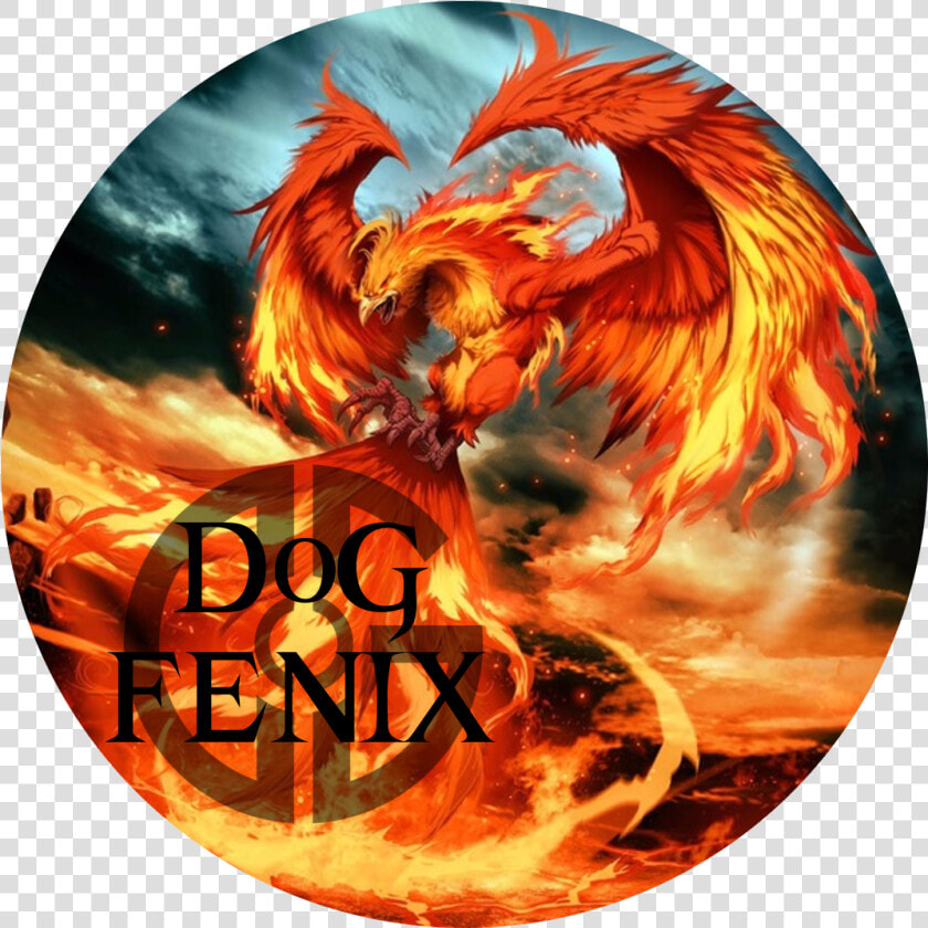 Mythical Creature Phoenix Bird  HD Png DownloadTransparent PNG