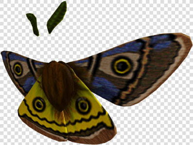 Glorious Moth Wings   Butterfly  HD Png DownloadTransparent PNG