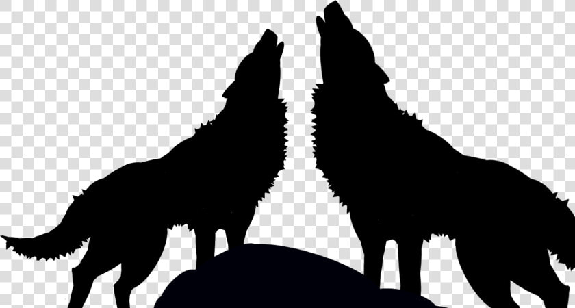  wolf  sillhouette  scsilhouette  black  wolves   Black And White Wolves Png  Transparent PngTransparent PNG