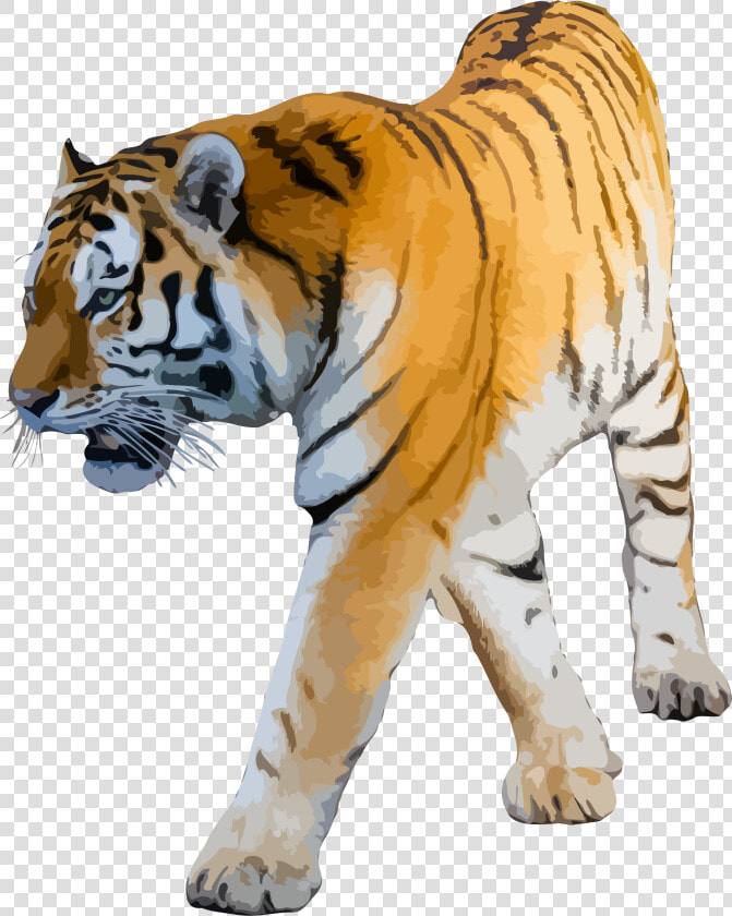 Clipart Png Tiger   Tiger White Background Hd  Transparent PngTransparent PNG