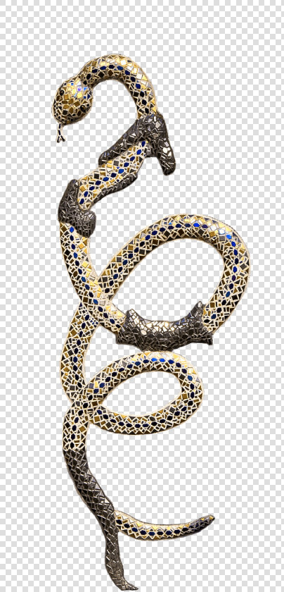 Snake Shedding Skin   Gold Snake Png  Transparent PngTransparent PNG