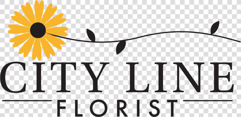 Logo For City Line Florist Trumbull   African Daisy  HD Png DownloadTransparent PNG