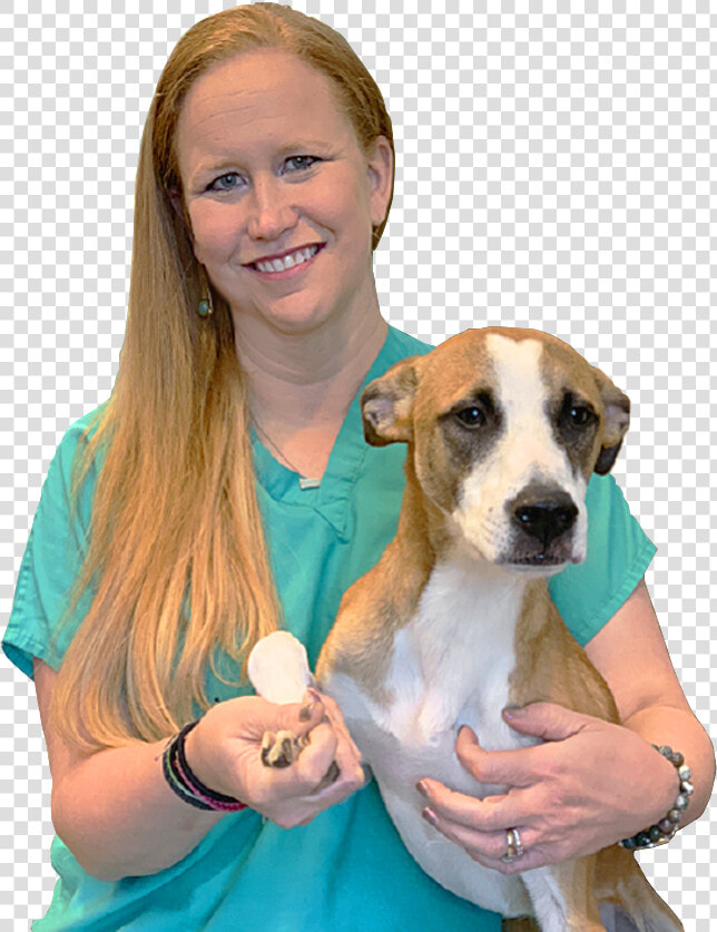 Dr Carrie Friedewald Vet Kennesaw   Companion Dog  HD Png DownloadTransparent PNG