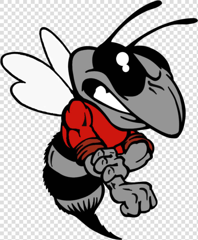 Transparent Hornet Mascot Clipart   Hancock County High School Hornets  HD Png DownloadTransparent PNG