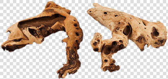 Driftwood For Aquarium   Kinds Of Woods For Aquarium  HD Png DownloadTransparent PNG