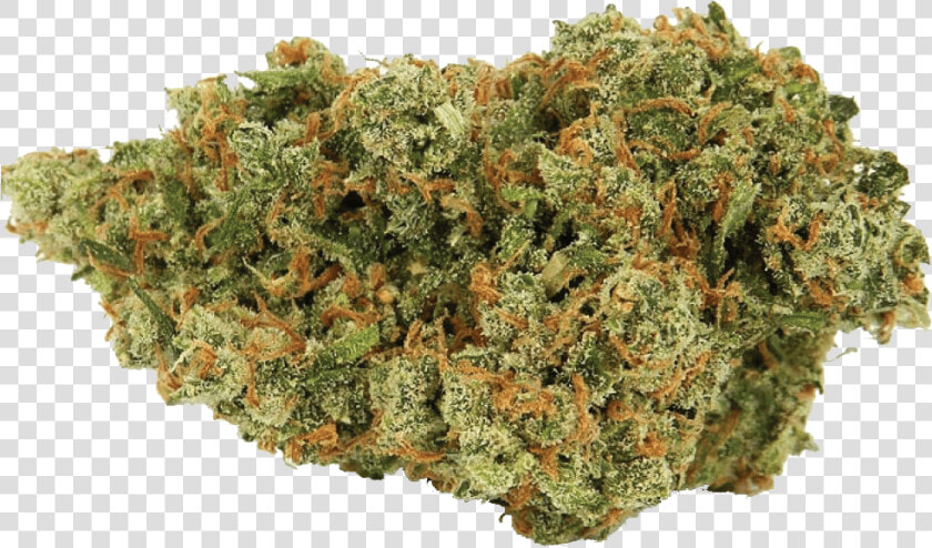 Jack Herer Cannabis Nug   Jack Herer Sativa  HD Png DownloadTransparent PNG