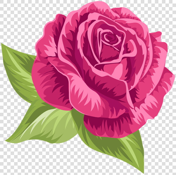 Pink Vintage Rose Clip Art   Rose Png  Transparent PngTransparent PNG