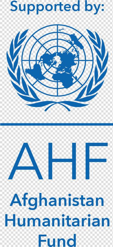 Un Disaster Assessment And Coordination Team  HD Png DownloadTransparent PNG