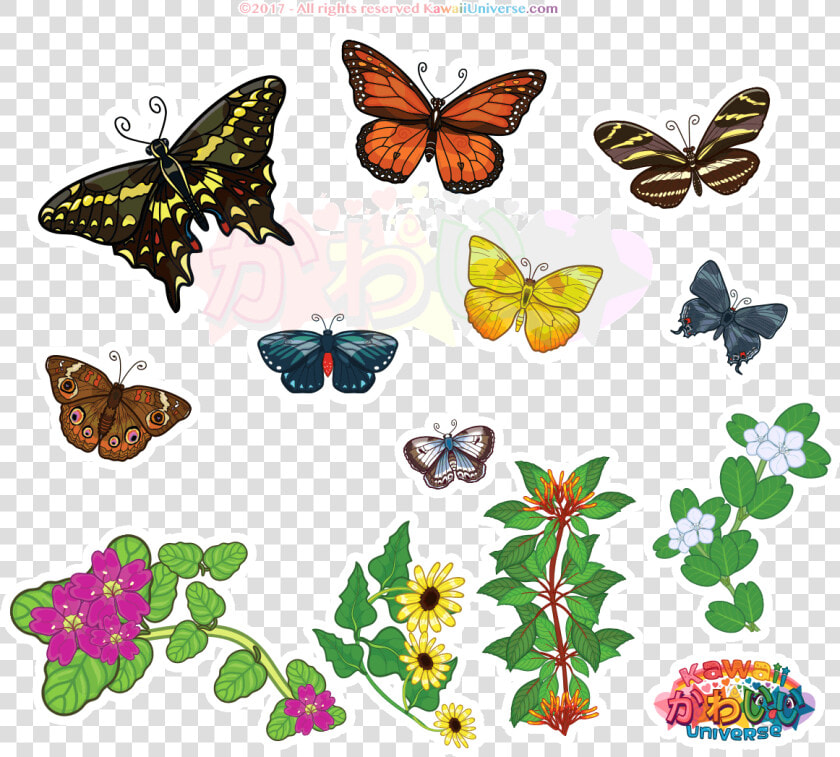 Kawaii Universe Florida Butterflies Animati By Db9ro3k   Speckled Wood  butterfly  HD Png DownloadTransparent PNG