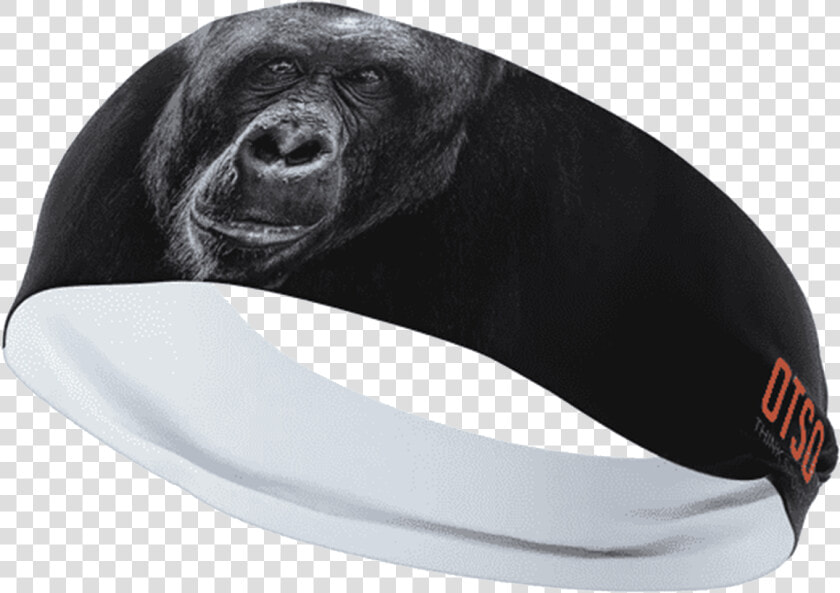 Gorilla Thick   Gorilla  HD Png DownloadTransparent PNG