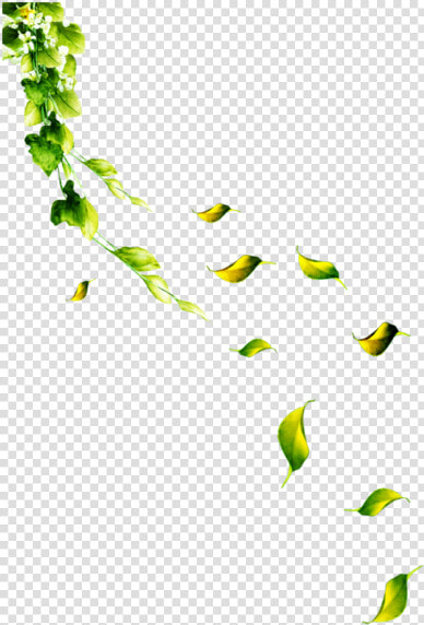 Petal Leaf Flower   落叶 素材  HD Png DownloadTransparent PNG