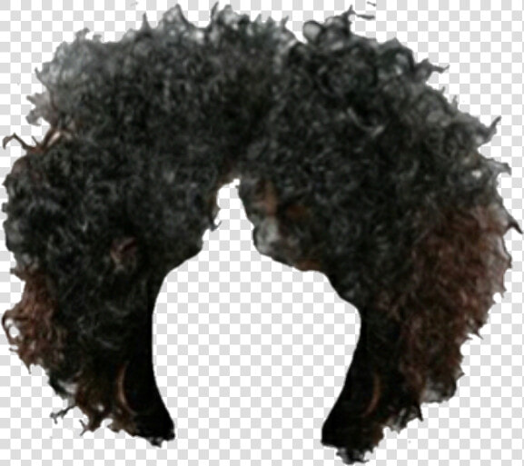  hair  brownhair  afro  wig  snatched  wigs  weave   Lace Wig  HD Png DownloadTransparent PNG