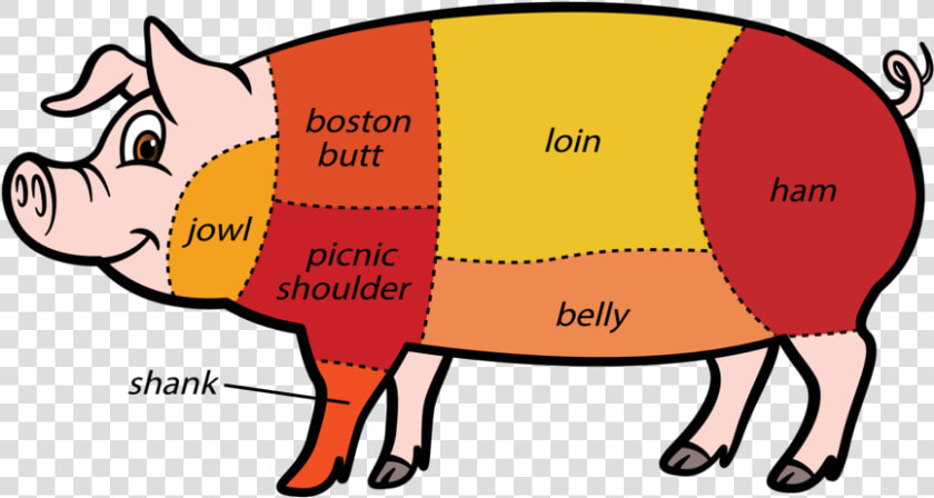 Clip Art Prime Cut Butcher   Pork Diff Kinds Of Meat Cuts  HD Png DownloadTransparent PNG