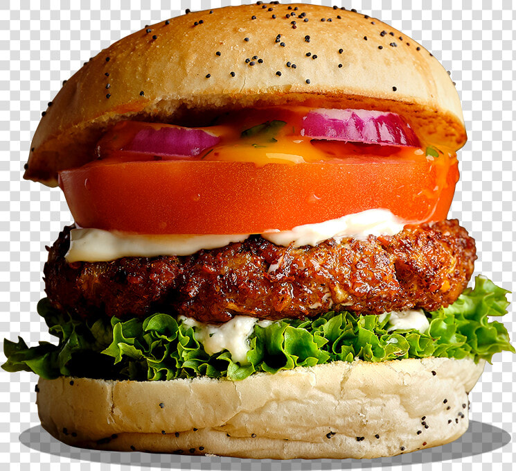 Transparent Burger Vector Png   Patty  Png DownloadTransparent PNG