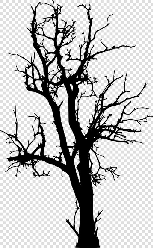 Clip Art Forrest Forest For   Dead Tree Silhouette Png  Transparent PngTransparent PNG