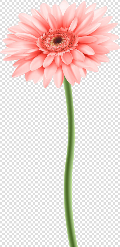 Download Flower With Stem Png Png Image With No Background   Flower With Stem Png  Transparent PngTransparent PNG