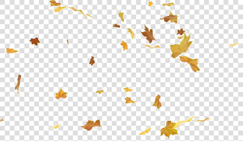 Falling Leaves Png   Autumn Falling Leaves Png  Transparent PngTransparent PNG